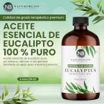 Pure Eucalyptus Essential Oil - 4oz Aromatherapy