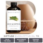 Brooklyn Botany Eucalyptus Essential Oil - 4 Fl Oz