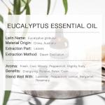 Pure Eucalyptus Essential Oil for Soap and Aromatherapy