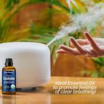 Pure Organic Eucalyptus Essential Oil for Soap Making