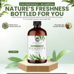 Pure Eucalyptus Essential Oil - 4oz Aromatherapy