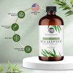 Pure Eucalyptus Essential Oil - 4oz Aromatherapy