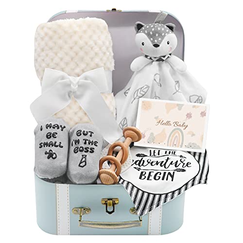 Cute Baby Boy Gift Basket with Blanket and Toys