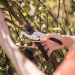 Fiskars Bypass Pruning Shears with Sharp Steel Blade
