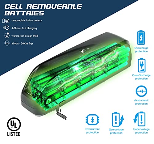 YinZhiBoo Electric Bike: Fat Tire E-Bike, 1000W 48V/13AH