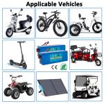 48V 14Ah Lithium Battery for 750W eBike Motor