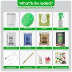 Light-Up Terrarium Kit for Kids - STEM DIY Toy