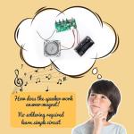 DIY FM Radio Science Kits for Kids 8-14