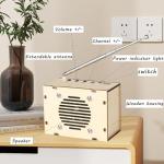 DIY FM Radio Science Kits for Kids 8-14