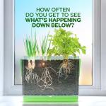 Dan&Darci Grow Your Own Plant Root Viewer Kit