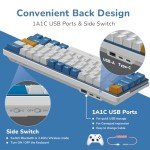 RK61 Plus Wireless RGB Mechanical Keyboard - Hot Swappable