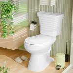 Angol Shiold Round Toilet Seat with Slow Close