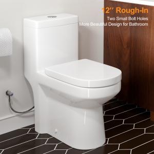 Gold Button Dual Flush Toilet with Soft Close Seat
