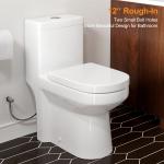 Gold Button Dual Flush Toilet with Soft Close Seat