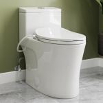 Elongated Toilet with Bidet Seat and Soft Close