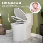 Elongated Toilet with Bidet Seat and Soft Close