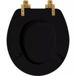 Black Round Soft-Close Toilet Seat with Gold Hinges