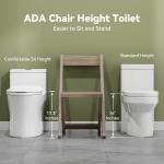 Elongated Toilet with Bidet Seat and Soft Close