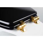 Black Round Soft-Close Toilet Seat with Gold Hinges