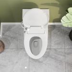 Elongated Toilet with Bidet Seat and Soft Close