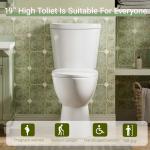 19" High Rear Outlet Toilet with Soft Close Seat