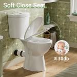 19" High Rear Outlet Toilet with Soft Close Seat