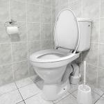 Elongated Toilet Seat Cover with Slow Close Hinges