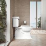 Kohler Cachet Elongated Slow Close Toilet Seat