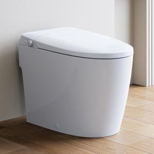 Elongated Non-Electric Smart Bidet Toilet Seat