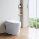 Elongated Non-Electric Smart Bidet Toilet Seat