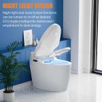 Heated Bidet Toilet Seat with Nightlight