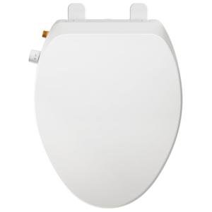 Elongated Non-Electric Bidet Toilet Seat with Dual Nozzles