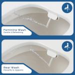 Elongated Non-Electric Bidet Toilet Seat with Dual Nozzles