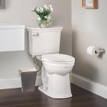 Clirass Elongated Quiet-Close Bidet Toilet Seat