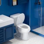 Elongated Non-Electric Bidet Toilet Seat with Dual Nozzles