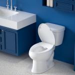 Elongated Non-Electric Bidet Toilet Seat with Dual Nozzles