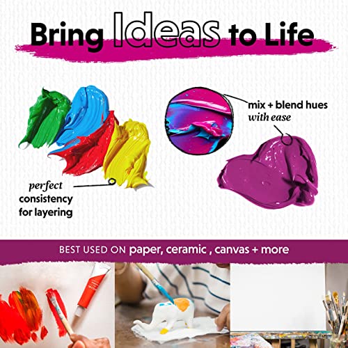 24 Premium Acrylic Paint Set for Multiple Surfaces