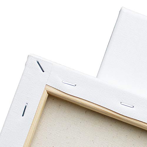 FIXSMITH 27.9x35.6 cm Canvas Panels - 8 Pack