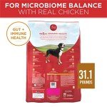 Purina ONE Chicken & Rice Dog Food, 31.1 lb