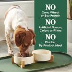 Nutro Natural Choice Small Breed Chicken Dog Food