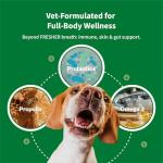 MyVFF Daily Dental Chews for Dogs - 50 Count