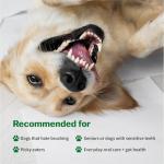 MyVFF Daily Dental Chews for Dogs - 50 Count