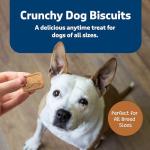 Blue Buffalo Crunchy Dog Biscuits, Pumpkin & Cinnamon