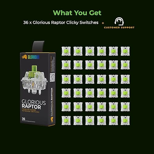 Glorious Raptor Clicky Switches: 36 PCS, Transparent