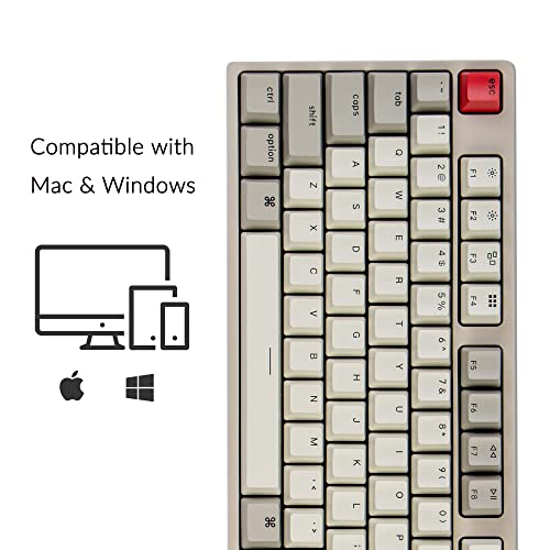 Keychron C2 Full-Size Wired Mac Keyboard, Brown Switch