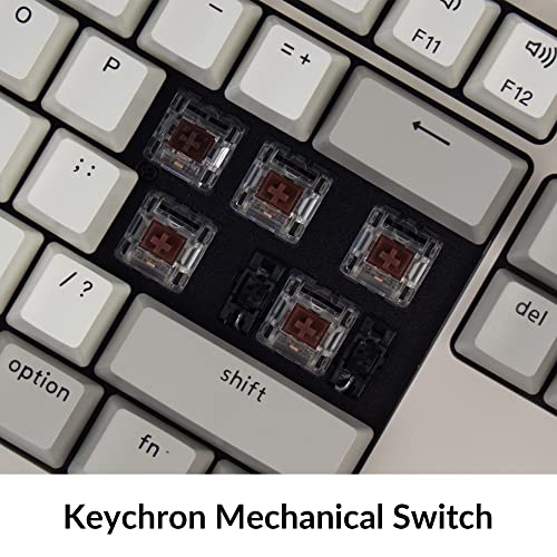 Keychron C2 Full-Size Wired Mac Keyboard, Brown Switch