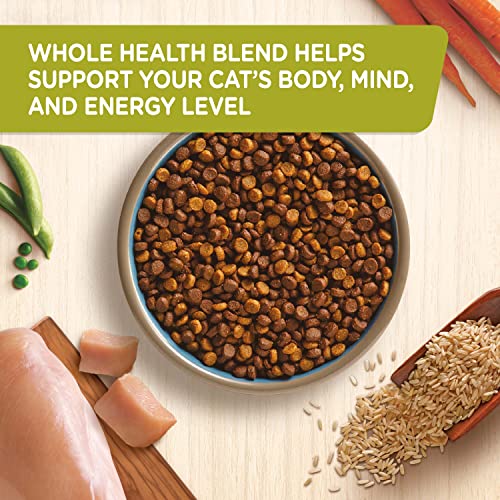 Natural Chicken & Rice Cat Food