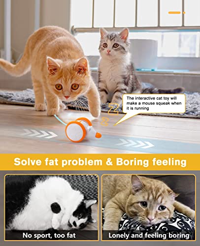 Interactive LED Cat Toy with Motion Wheel