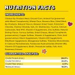 Temptations Classic Crunchy and Soft Cat Treats, Shrimpy Shrimp Flavor, 16 oz. Tub