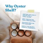Manna Pro Crushed Oyster Shell for Chickens – Calcium Supplement for Laying Hens to Support Strong Eggshells – Natural Poultry Mineral Feed for Backyard Chickens – 5 lb Bag